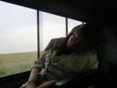 Sleeping while driving through the Serengeti (trust me, this was not staged)